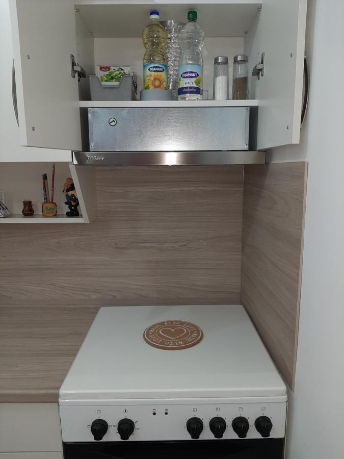 Apartman Viaggio Sremska Mitrovica Buitenkant foto